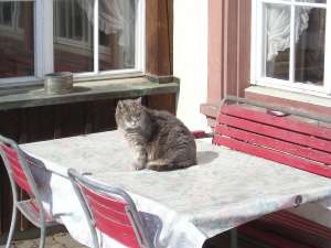 Grosses bild anzeigen 060306-1 109.jpg